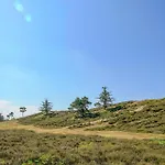 Nyaraló 2 Bedroom Awesome In Afferden