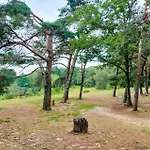 2 Bedroom Awesome In Nyaraló Afferden